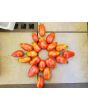 Tomato 'Sausage'