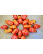 Tomato 'Sausage'
