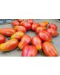Tomato 'Sausage'