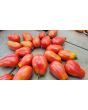 Tomato 'Sausage'