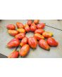 Tomato 'Sausage'