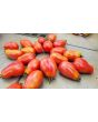 Tomato 'Sausage'