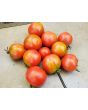 Tomato 'Glacier' Seeds (Certified Organic)