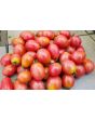 Tomato 'RB Pink Grape'