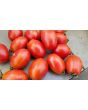 Tomato 'Amish Paste'