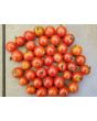 Tomato 'Little Mack Red Cherry' Seeds (Certified Organic)
