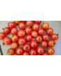 Tomato 'Little Mack Red Cherry' Seeds (Certified Organic)
