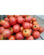 Tomato 'Matina' 