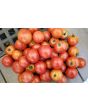 Tomato 'Matina' 