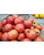 Tomato 'Matina' 