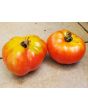 Tomato 'Pierrette'