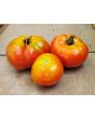 Tomato 'Pierrette'