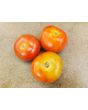 Tomato 'Tomcat F2' Seeds (Certified Organic)