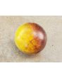 Tomato 'Wooly Kate'