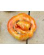 Tomato 'Legs Diamond' 