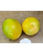 Tomato 'Long Keeper' 