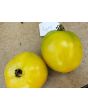Tomato 'Long Keeper' 