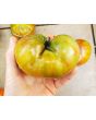 Tomato 'Vorlon' 