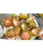 Tomato 'Vorlon' 