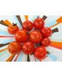 Tomato 'Maskotka' Seeds