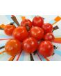 Tomato 'Maskotka' Seeds