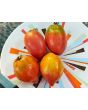 Tomato 'Tamara's San Marzano Pink Strain' Seeds (Certified Organic)