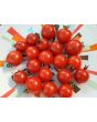 Tomato 'Red Sprinkles' 
