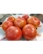 Tomato 'Goose Creek' Seeds (Certified Organic)