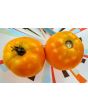 Tomato 'Golden Sunray' 