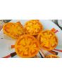 Tomato 'Golden Sunray' 