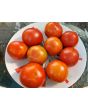 Tomato 'Earliana' Seeds (Certified Organic)