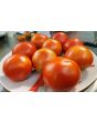 Tomato 'Earliana' Seeds (Certified Organic)