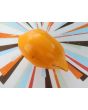 Tomato 'Buratino' AKA 'Yellow Pinocchio' Seeds (Certified Organic)
