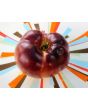 Tomato 'Sart Roloise Yellow Strain' Seeds (Certified Organic)