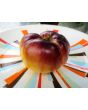 Tomato 'Sart Roloise Yellow Strain' Seeds (Certified Organic)