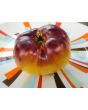 Tomato 'Sart Roloise Yellow Strain' Seeds (Certified Organic)
