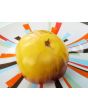 Tomato 'Sart Roloise Yellow Strain' Seeds (Certified Organic)