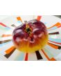 Tomato 'Sart Roloise Yellow Strain' Seeds (Certified Organic)