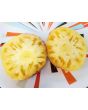 Tomato 'Sart Roloise Yellow Strain' Seeds (Certified Organic)