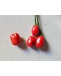Hot Pepper ‘Bird Aji' Seeds (Certified Organic)