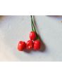 Hot Pepper ‘Bird Aji' Seeds (Certified Organic)
