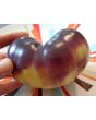 Tomato 'Sart Roloise' Seeds (Certified Organic)