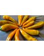 Sweet Pepper ‘Tequila Sunrise' Seeds (Certified Organic)