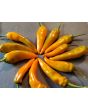 Sweet Pepper ‘Tequila Sunrise' Seeds (Certified Organic)