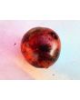 Tomato 'Black Strawberry' Seeds (Certified Organic)