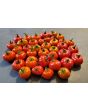 Cannibal's Tomato Seeds (Certified Organic) 