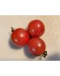 Tomato 'Pink Sprinkles' Seeds (Certified Organic)