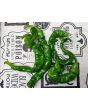 Hot Pepper ‘Hangjiao #5 (HJ5) Helix Nebula Space Chili’ Seeds (Certified Organic)