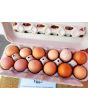 Farm Fresh Eggs Howell, Michigan