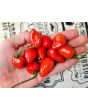 Hot Pepper ‘Chiltepin x Habanero' Seeds (Certified Organic)